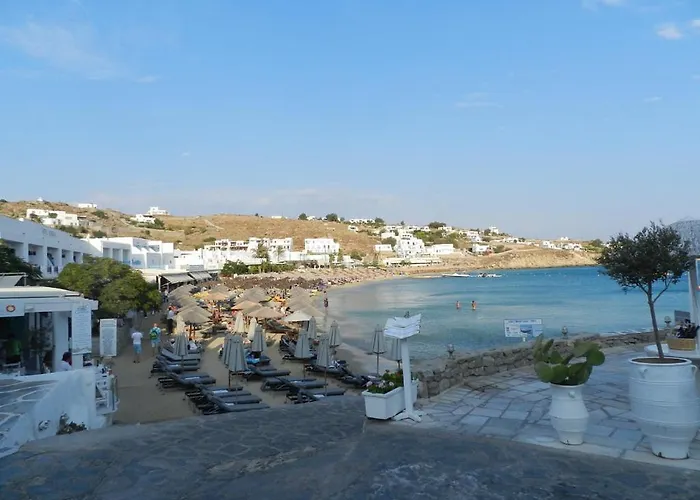 Flora Manos Platys Gialos (Mykonos)